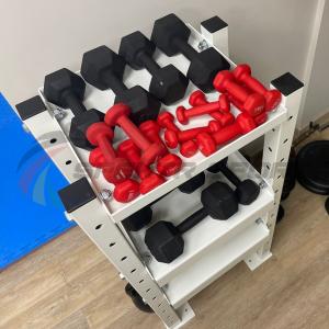 Купить Модульный стеллаж для гантелей, гирь  600х470х1160 в Луге 